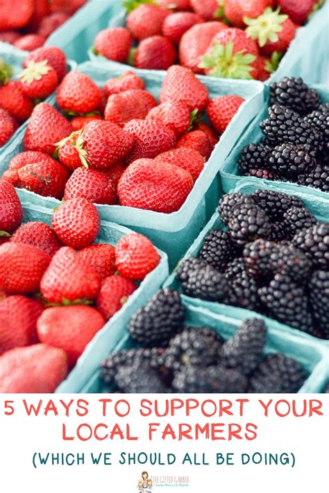 Local Famrers 的图像结果