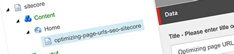 Optimizing page URLs for SEO in Sitecore - Waldek Mastykarz