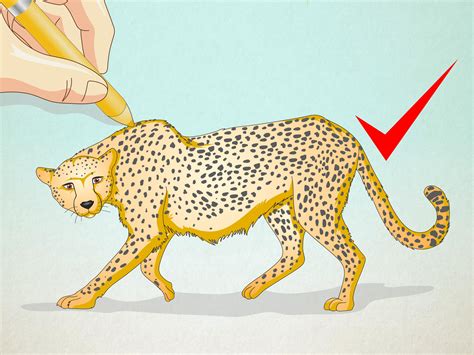 Easy To Draw Cute Cheetahs Cheetahs Desenhando - skaterhoodies