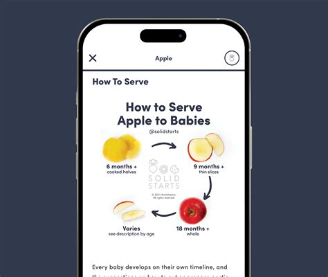 La aplicación de Solid Starts - Base de datos Solid Starts
