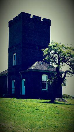 PTeRider (Port Townsend) - 2022 What to Know Before You Go (with Photos ...