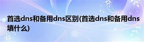 首选dns和备用dns填什么，全球通用DNS地址分享_秋叶系统官网