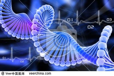 公司首页_广西DNA亲子鉴定中心_商机资讯网