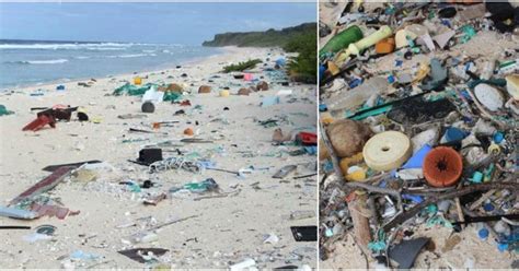 Henderson Island: Worlds Most Polluted Island