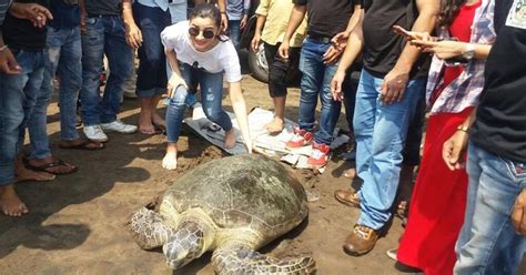 Alia Bhatt Celebrates Mother's Day Differently, Releases 30 YO ...