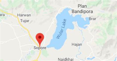 Kashmir: Two policemen, two civilians killed in militant attack in Sopore