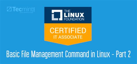 Image result for Linux File Management Commands