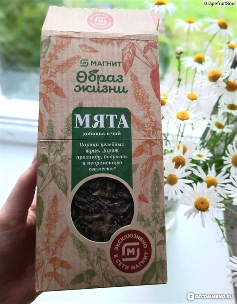 Травяной чай рассыпной МАГНИТ Мята добавка в чай "Образ жизни ...