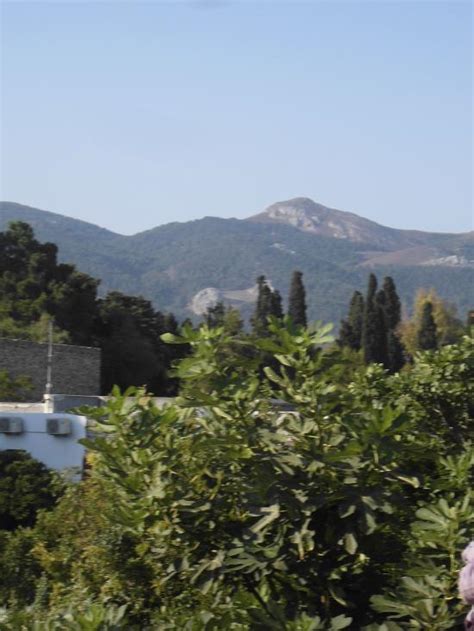 STUDIOS DESIREE (Kós, Greece) - Apartment Reviews & Photos - Tripadvisor