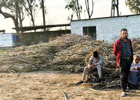 Govt Clarifies: Monthly Stock Limit Not Applicable To Khandsari Sugar ...