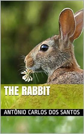 The rabbit (The cutest pets on the planet collection Book 6) eBook ...