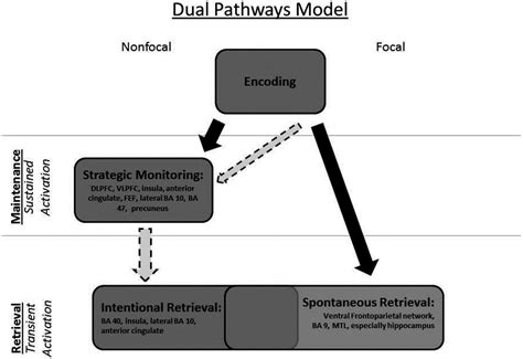 Memory Pathways 的图像结果