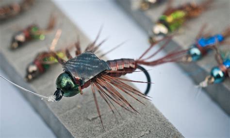 Simple Nymph Patterns Mayfly 的图像结果