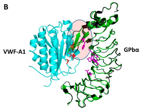 Surfing the Protein-Protein Interaction Surface Using Docking Methods ...