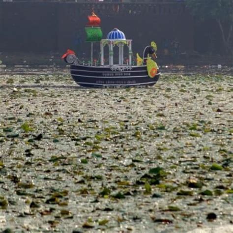 Tapan Nayak | Photography Community Member | Sony Alpha Community
