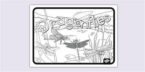Dragonfly Colouring Display Poster (teacher made) - Twinkl