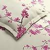 haus & kinder Bedsheets,100% Cotton Double Bed Sheet, 186 TC Bedsheet ...