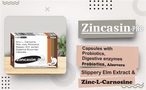 Zincasin -Pro Digestive enzymes with Probiotics | Amylase, Lipase ...