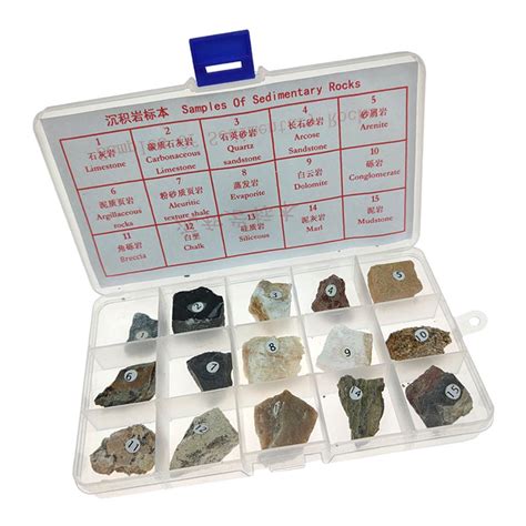 ⚡️Buy Max Maxb Sedimentary Rock Specimen Educational Sedimentary Real ...