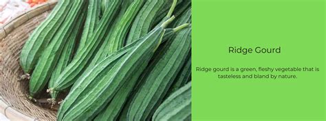 Ridge Gourd – Health Benefits, Uses and Important Facts - PotsandPans India