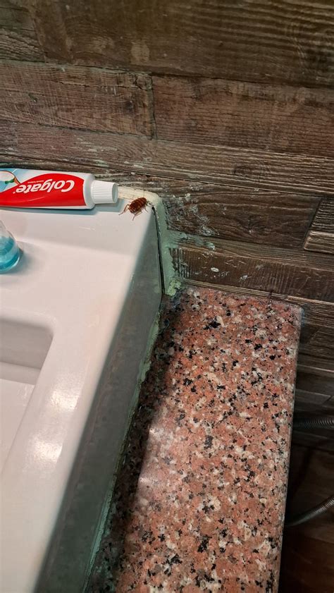 WHITE DRAGON HOTEL (Khuruthang) - Hotel Reviews, Photos, Rate ...