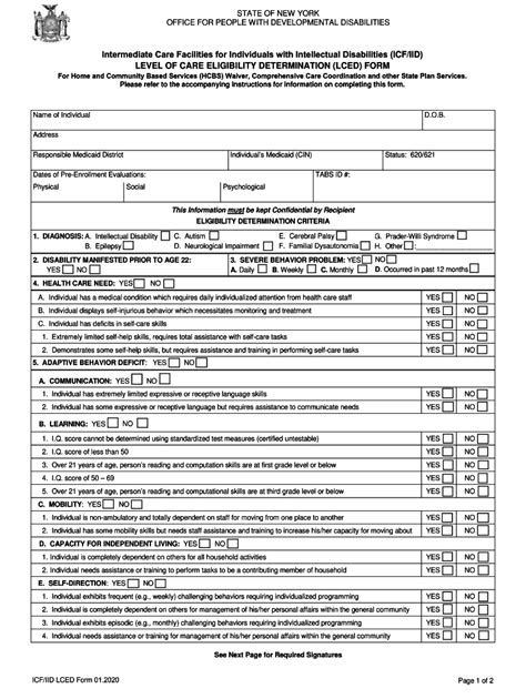 2020-2025 NY OPWDD Level of Care Eligibility Determination (LCED) Form ...