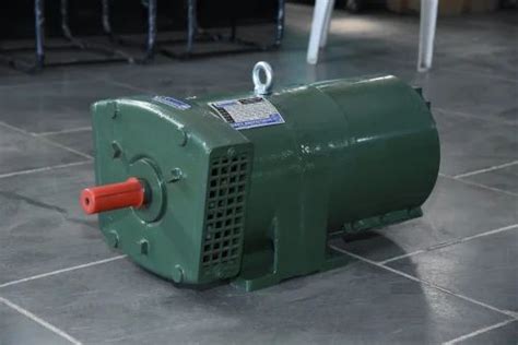 Manufacturer of Petrol Generator & Portable Generator by Ajanta ...