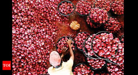 63% drop in average wholesale price of onions in past 2 months in ...
