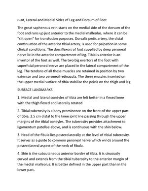 Glenohumeral Joint and articulating surface-WPS Office - Glenohumeral ...