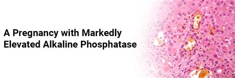 A pregnancy with markedly elevated alkaline phosphatase
