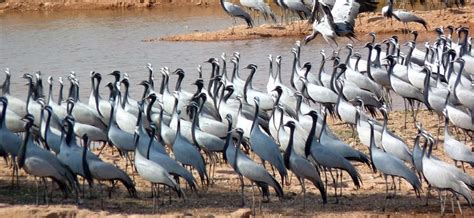 Best Places to Visit in Phalodi, Attractions and Points of Interest ...