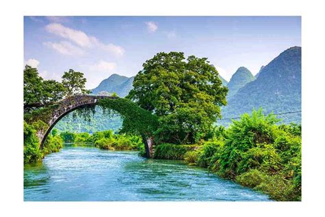 Nature Wall Art Sticker Poster|Water|Greenery|Nature Poster|Scenery ...