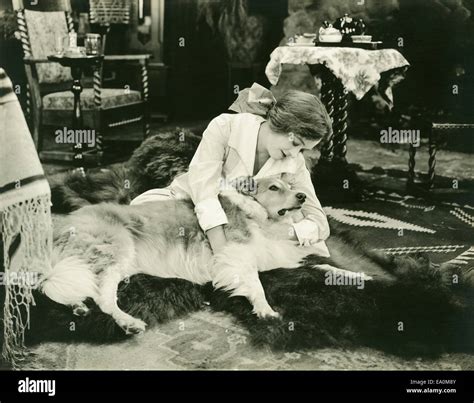 Four legged animal hi-res stock photography and images - Alamy