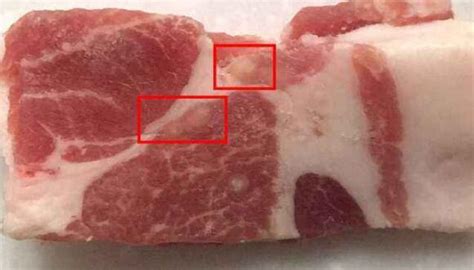 米猪肉与脂肪粒的鉴别 - 鲜淘网
