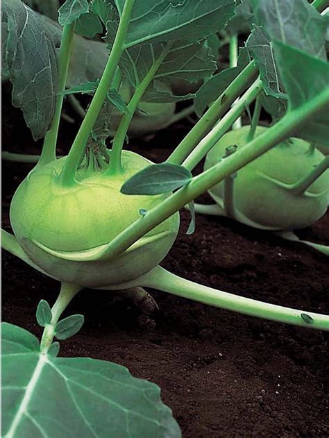 தமிழ் செய்தி | Latest Tamil News Online