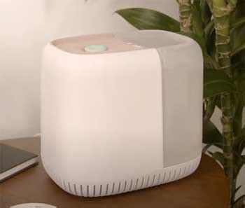 Image result for Mini Canopy Humidifier