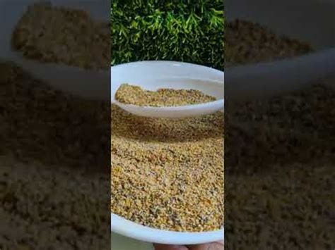 Manufacturer of Rice Ddgs & Animal Feed by Prorich Agro Private Limited ...