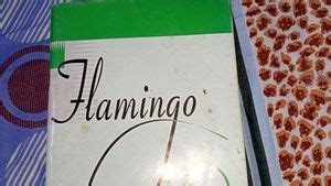 Image result for Flamingo Textbook English Class 12