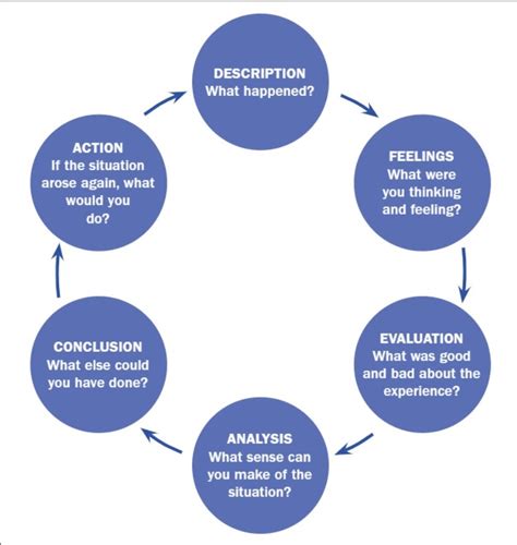 Image result for Self-Reflection Models