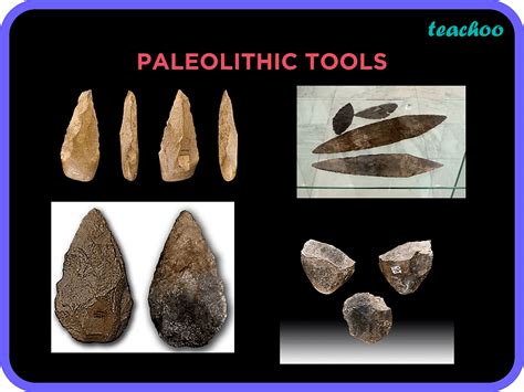 Stone Age History 的图像结果