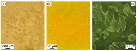 As-Grown Domain Structure in Calcium Orthovanadate Crystals