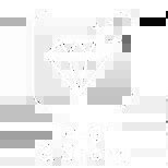 Best PPF Coating | Car Paint Protection Film India