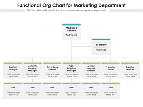 Functional Organization Chart 的图像结果