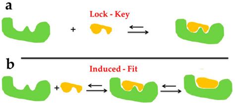 Recent Advances in Molecular Docking for the Research and Discovery of ...