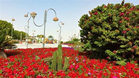 20 Best Parks in Qatar for the Lush Green Surroundings