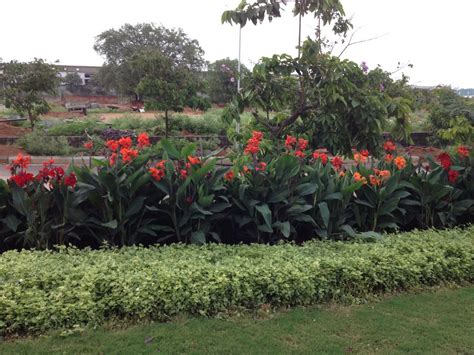 CONIFER landscape architects - EPSILON