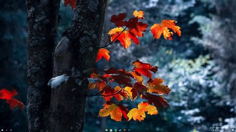 Image result for Center Taskbar