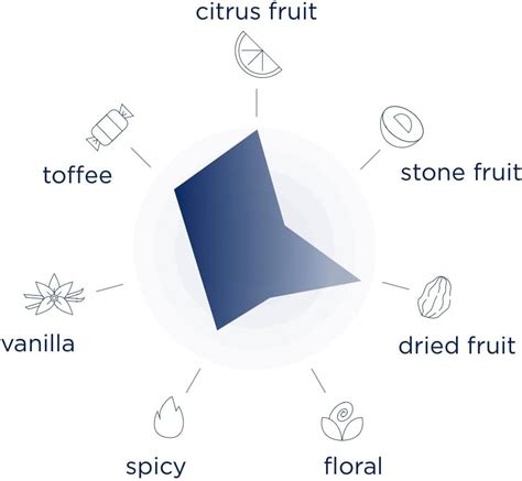 Metaxa 12 Stars Greek Spirit in Gift Box - 70 cl India | Ubuy