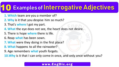 Image result for Interrogative Adjectives Examples Sentences