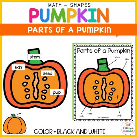 Parts Of A Pumpkin